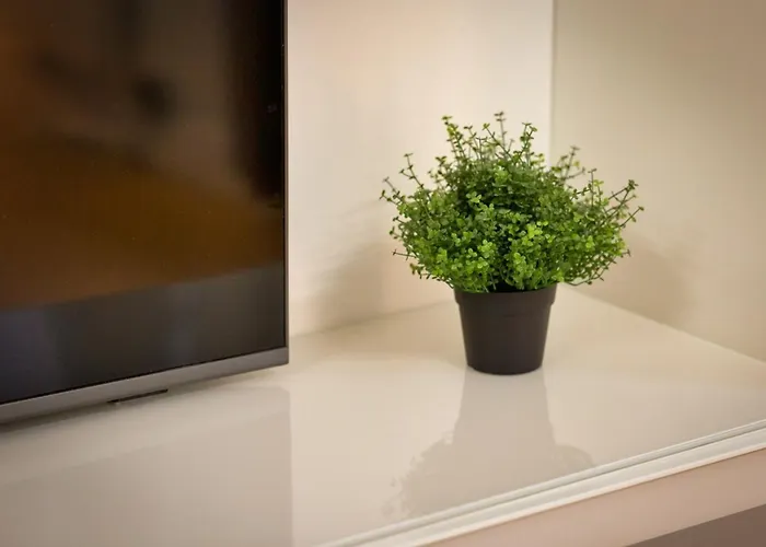 Le Gainsbourg Coeur De ! 公寓 鲁昂